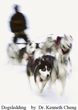 "Dogsledding" - Photo by Dr. Kenneth Cheng